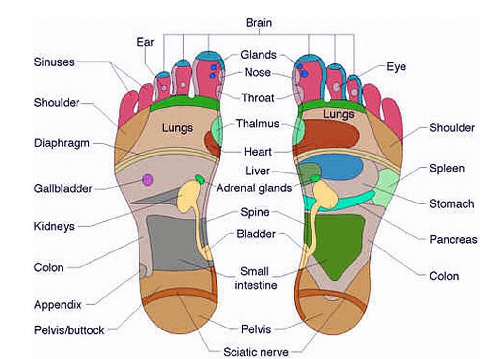 reflexology